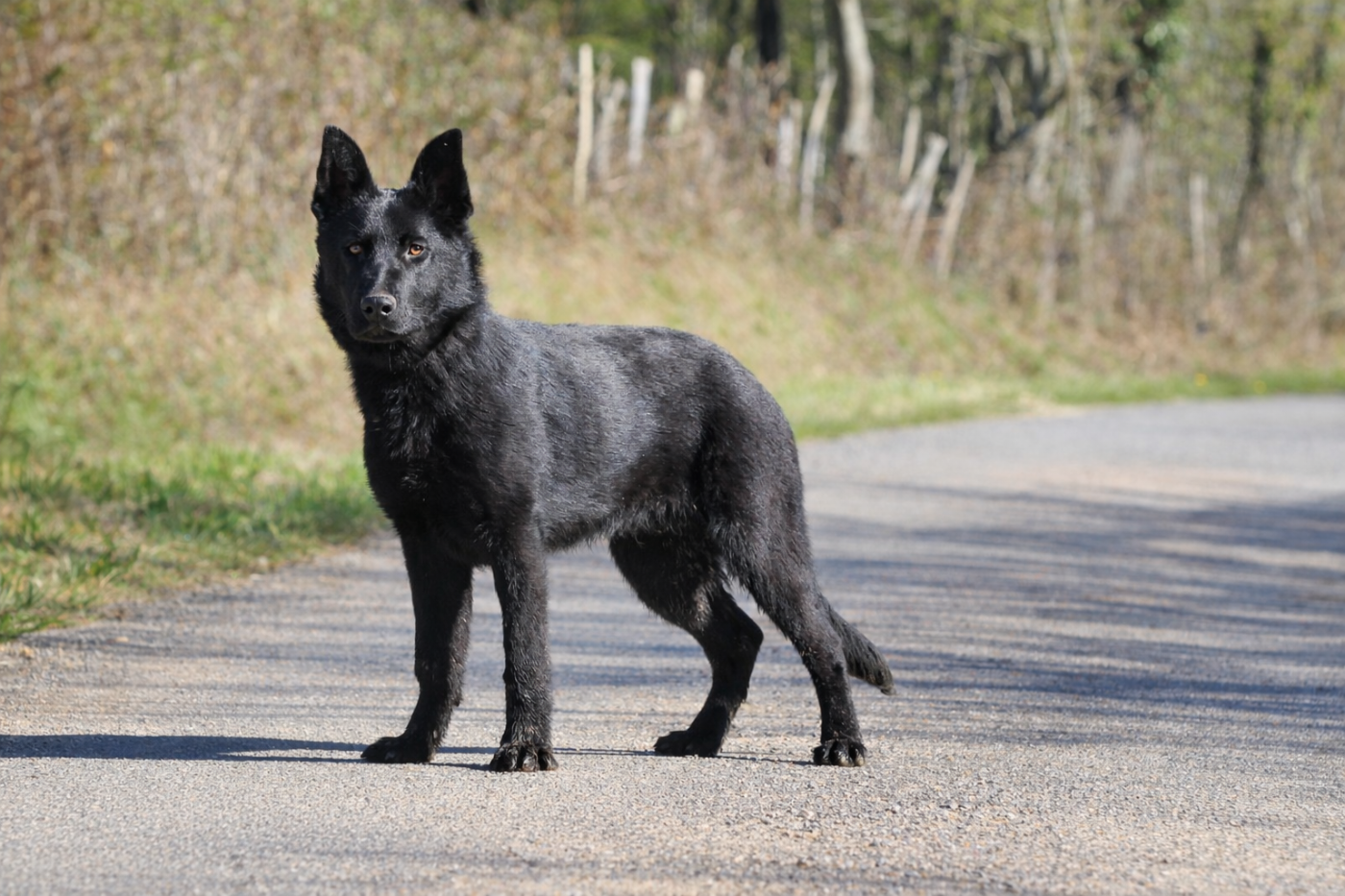 Alpha « Arthur » Wo die drei flusse verbinden